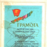 Морская пехота (к 100-летию ВЛКСМ)