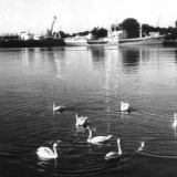 Из ДМБ-альбома
