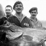 Мой фотоальбом