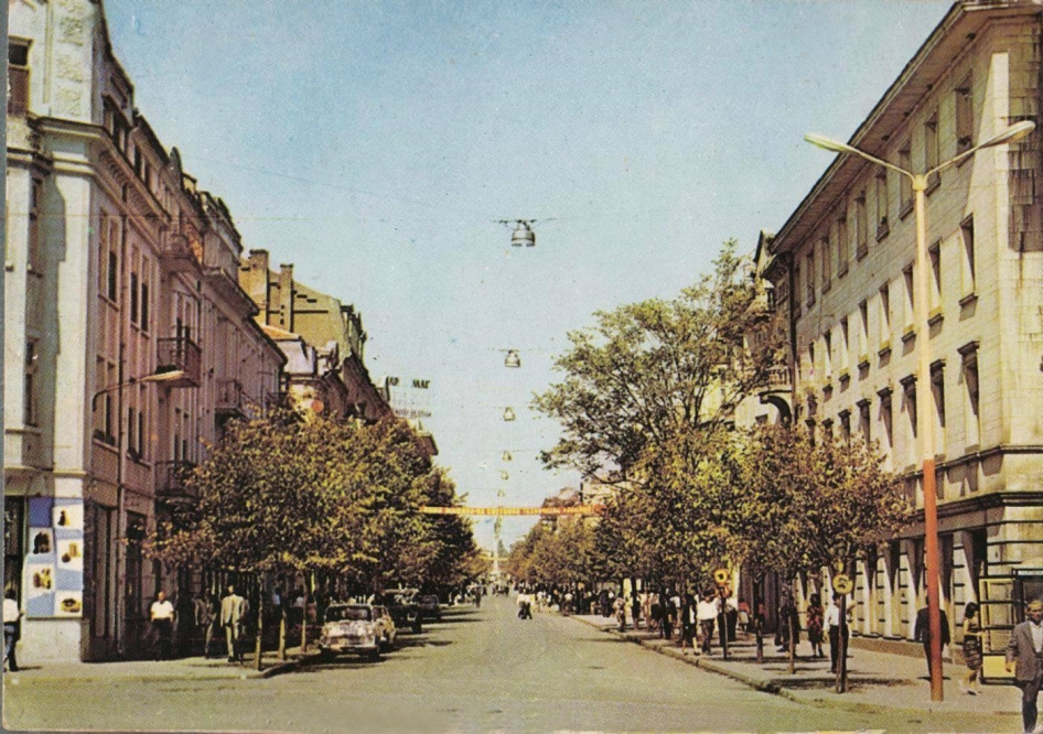 Мои фотографии